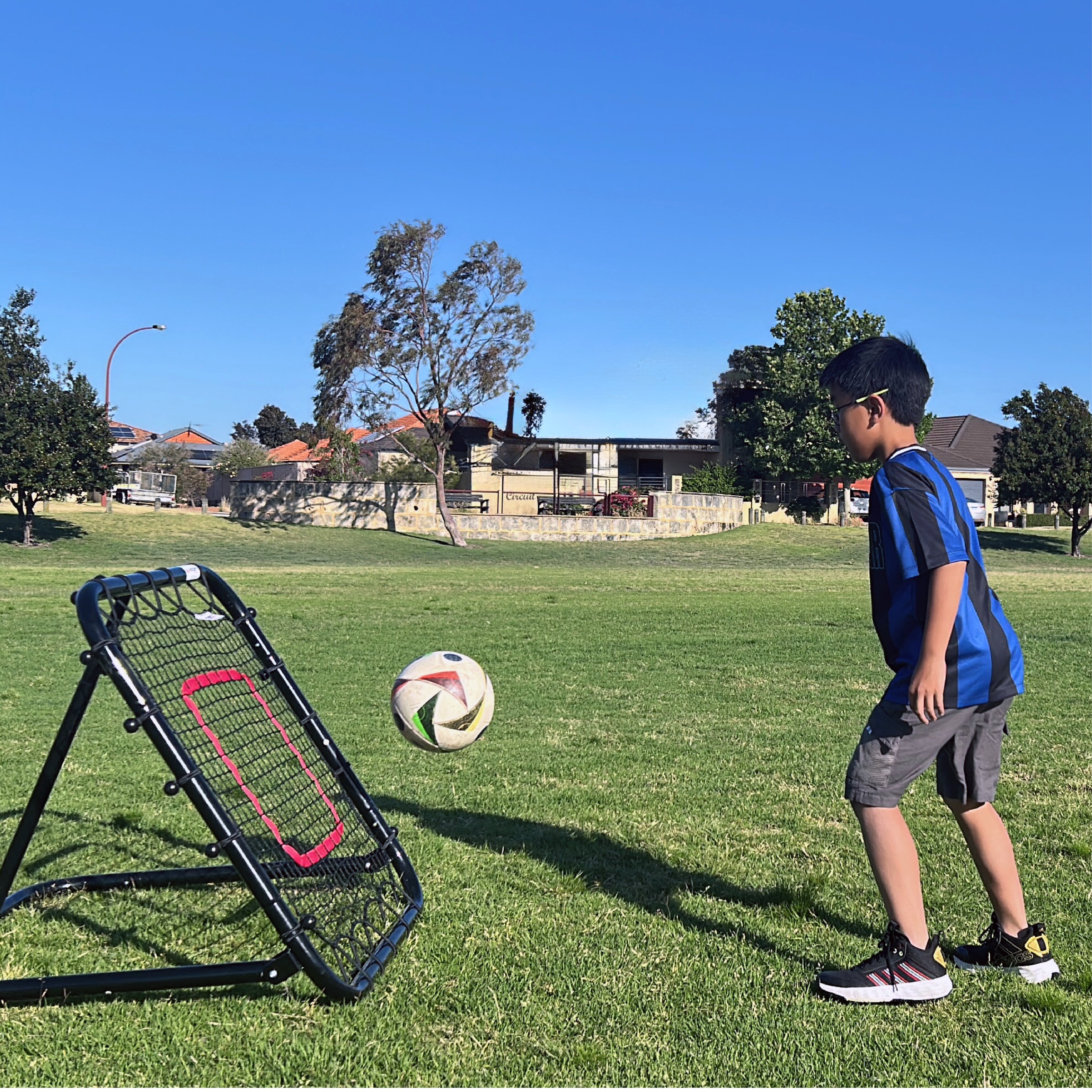 Ball Rebounder